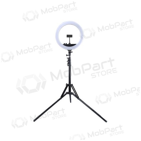 LED žiedinė svítilna 34.5cm, su trikoju stovu iki 1.85m, veidrodžiu a telefono laikikliu, USB