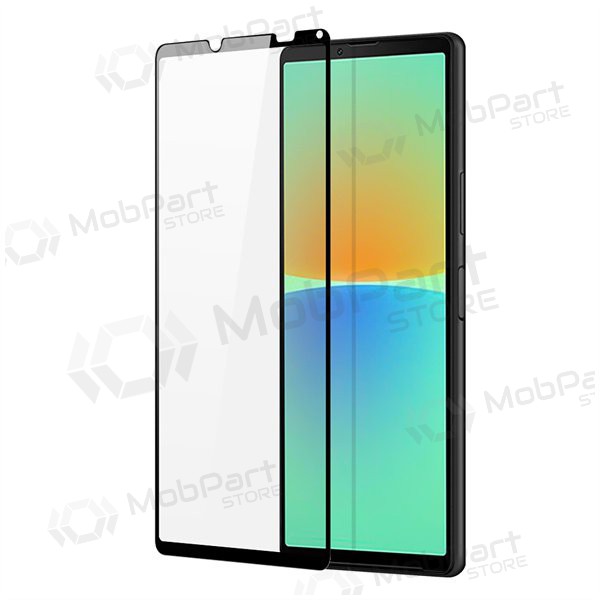 LCD apsauginis stikliukas Dux Ducis Sony Xperia 10 V černá